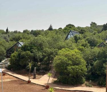 Borma House | Widian al-sham huts