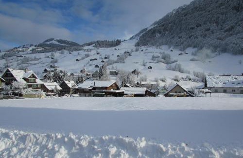 Mitloedi Apartment | Wies