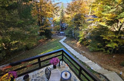 Sinaia Ski Chalet | Wild House