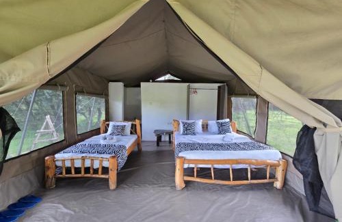 Maasai Mara Other | Wild Nest Mara camp
