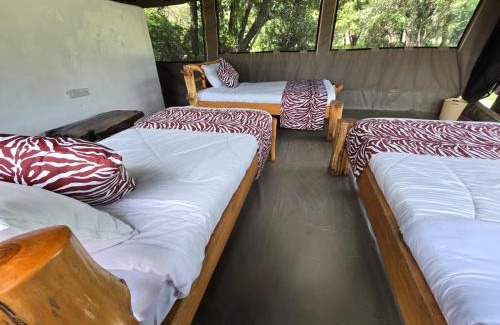 Maasai Mara Other | Wild Nest Mara camp