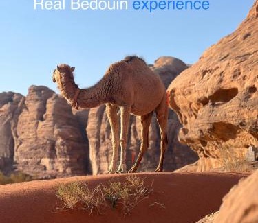 Wadi Rum Other | Wild of Wadi Rum