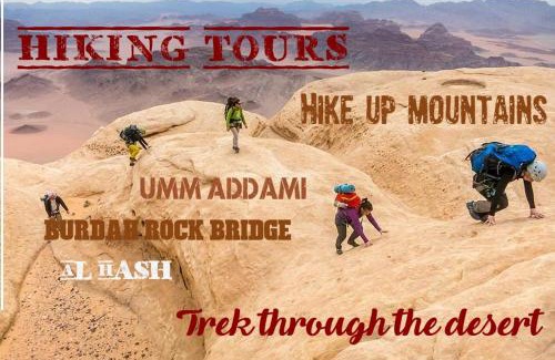 Wadi Rum Other | Wild of Wadi Rum
