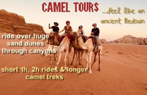 Wadi Rum Other | Wild of Wadi Rum