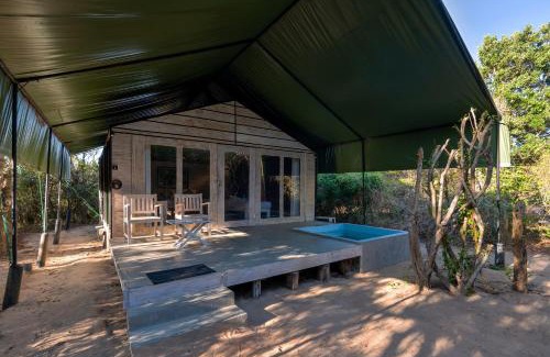 Palatupana Other | Wild Trails Yala by Mili