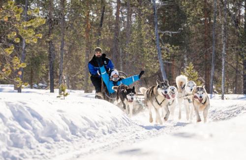 Saariselka Hotel | Wilderness Hotel Kieppi