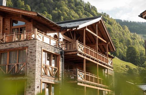 Bramberg am Wildkogel Apartment | Wildkogel Resorts - DAS Bramberg
