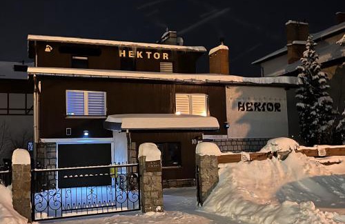 Szklarska Poreba Bed & Breakfast | Willa Hektor