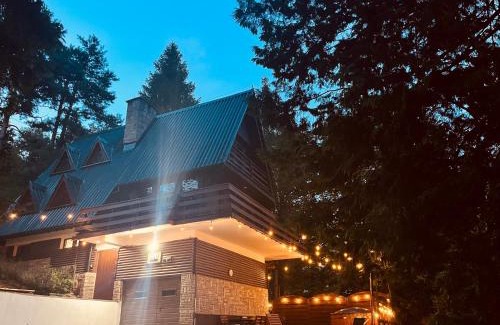 Czernichow Villa | Willa Koniora - sauna, balia, biliard