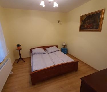 Naleczow Villa | Willa Widok