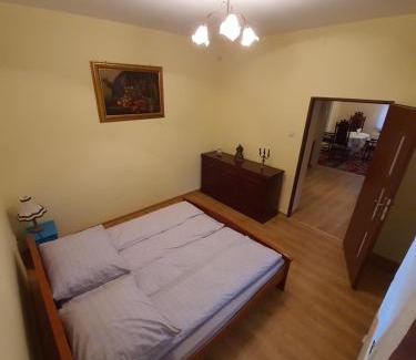 Naleczow Villa | Willa Widok