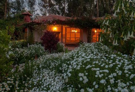 Urubamba Hotel | Willka T'ika