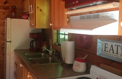 Asheville Cabin | Willow Pond/log cabin. Willow Pond invites you to relax.