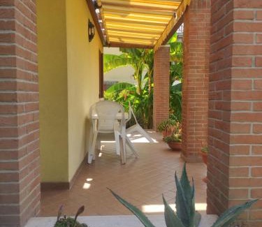 Falze House | Wilma House