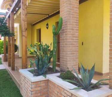 Falze House | Wilma House
