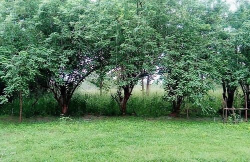 Pahala Maragahawewa House | Wilpattu Buma