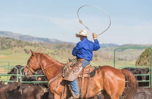 Fossil Hotel | Wilson Ranches Retreat