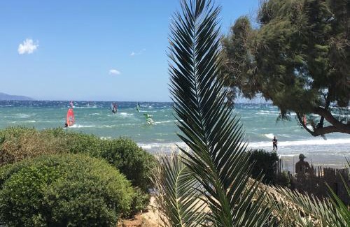 Spata-Artemida Apartment | Windsurfing seaside apartment Artemida