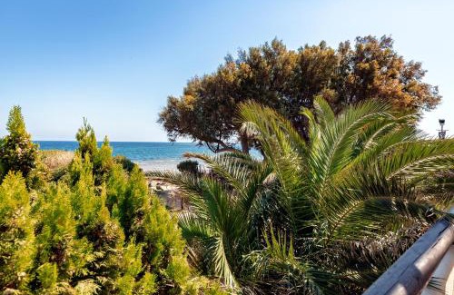 Spata-Artemida Apartment | Windsurfing seaside apartment Artemida