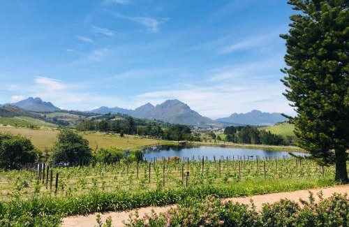 Stellenbosch Apartment | Winelands guest room