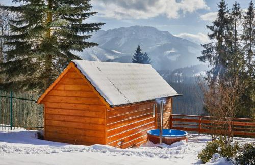 Witow Apartment | Witkówka WILD Luxury Apartments - Sauna & SPA x Adults Only