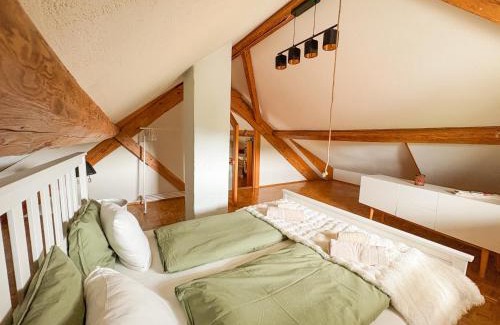 Wenslingen Apartment | Wohlfühloase in Wenslingen