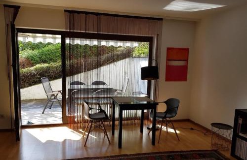 Grenzach-Wyhlen Apartment | Wohlfühlwohnung Sonnenterrasse E Auto Ladestation