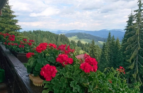 Albeck Condo | Wohnen mit Blick Über die Berge