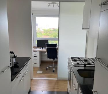 Breite Apartment | Wohnung Basel City bis max 6 Personen