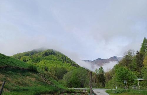 Reichraming Apartment | Wohnung im Nationalpark Kalkalpen 3