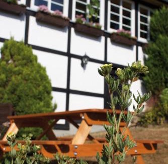 Wohnpark Ahrdorf House | Wolfs Ferienhaus - Natürlich Eifel