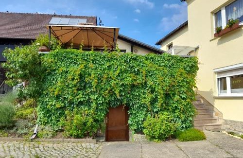 Reinhardtsdorf-Schoena Apartment | Wolfsbergblick