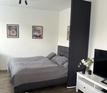 Olomouc Apartment | Wolkerovka Apartment 1