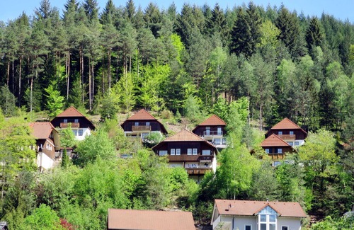 Hornberg House | Wonderful villa for 6 guests with WIFI, TV, balcony and pets allowed
