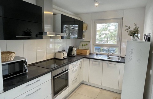 Breisach House | Wonderful villa for 6 people with WIFI, TV and terrace