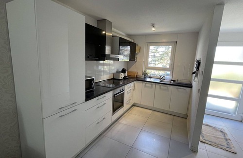 Breisach House | Wonderful villa for 6 people with WIFI, TV and terrace