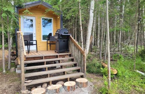 Golden Lake Other | Wood Duck Cabin, Hike in or 4x4 vehicle, 120m