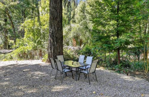 Cobb Hotel | Wooded Studio Near Clear Lake cabin