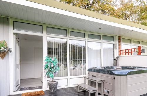 New Quay Cabin | WOODLAND FOREST, family friendly, with hot tub in New Quay