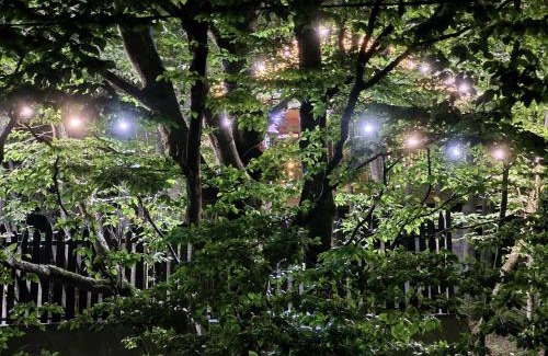 Mtskheta House | WoodLand Tskhvarichamia