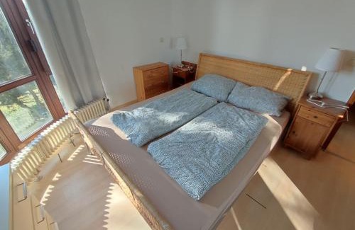 Mitte Apartment | WORKATION Nature View mit Balkon, indoor Pool, Küche Tiefgarage auf Anfrage