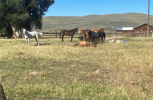 Cokeville Cabin | Wyoming Ranch Experience with a Comfortable Cabin