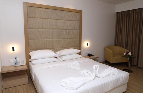 Krishnarajapura Hotel | Y N Hotels