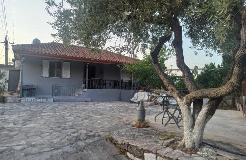 Albanian Riviera House | Yannoula's Family Home
