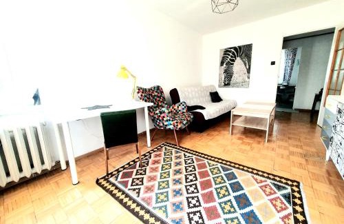 Torun Apartment | Yellow Apartment oposite ZOO (5 minutes walk to the Old Town)