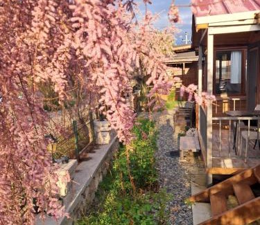 Yeniliman House | Yeniliman Bungalov Evleri- Sümbül Adlı Ev -Karaburun -İzmir