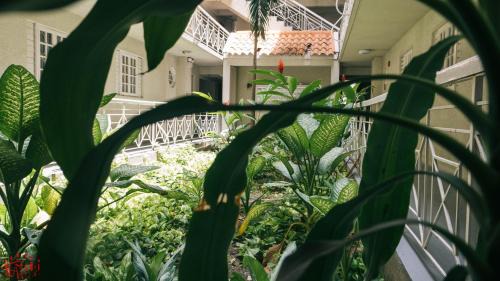 Constant Spring Apartment | Yhavarees Comfy Oasis 2-Bed Aprt- Central & Secure