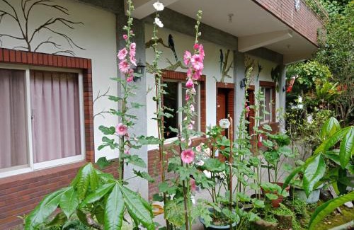 Nanzhuang House | Yi Jia Yuan Homestay