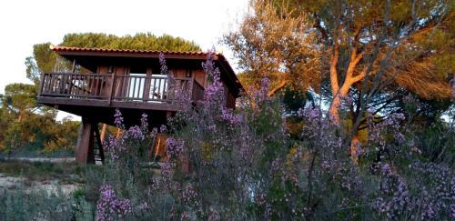 Grandola Cabin | Ying Yang Monte da Lua