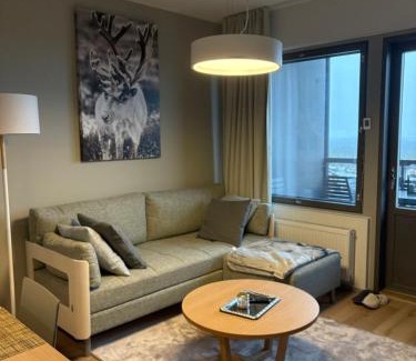Yllas Apartment | Ylläs Chalet 4304